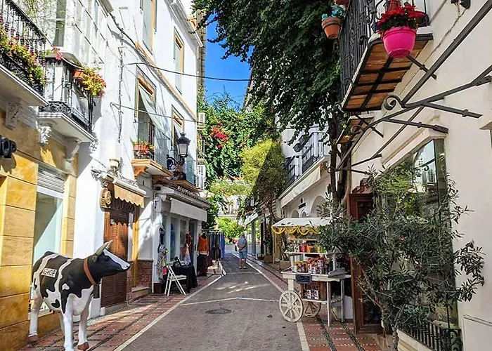Centro Con Piscina * Marbella
